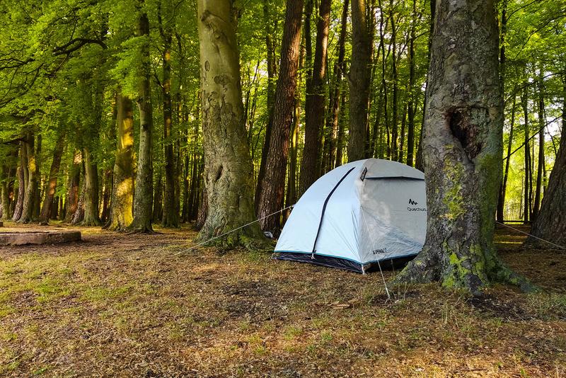 Bezpieczeństwo w naturze