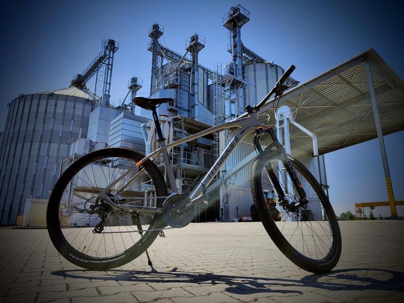 Zdrowie i wydajność pracowników