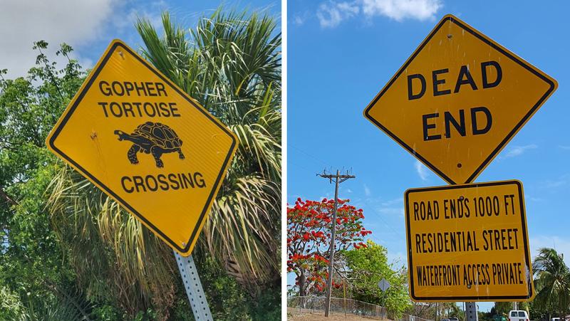 Bezpieczeństwo na drodze