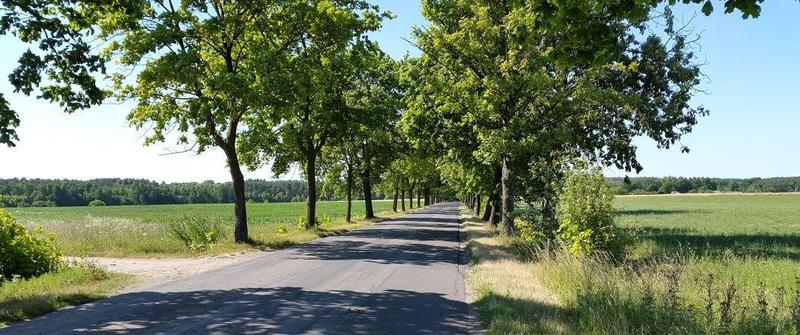 Trasa rowerowa Łódź-Poznań