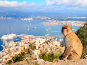 Odkryj najpiękniejsze miejsca w Maladze i na Gibraltarze, które musisz zobaczyć