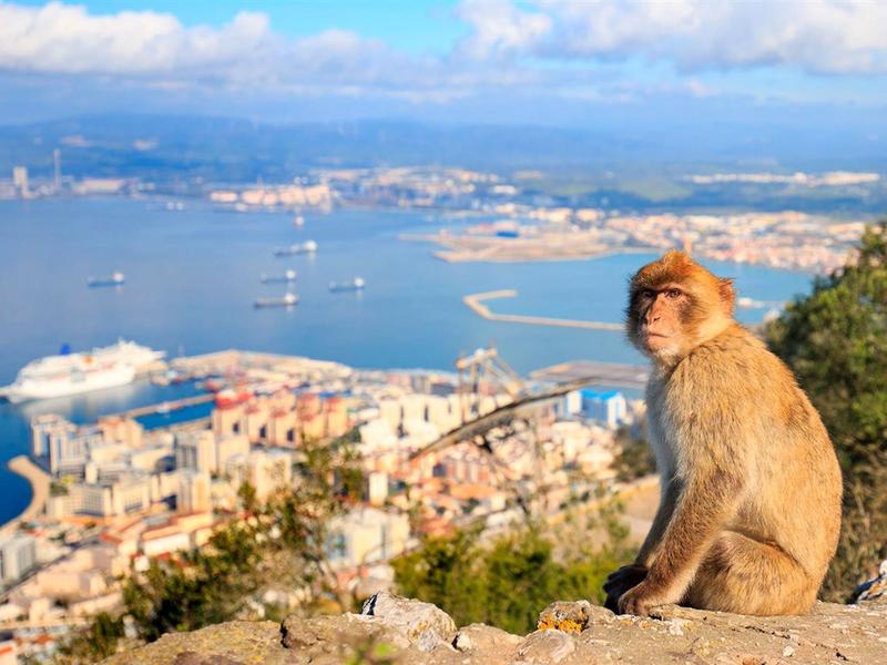 Odkryj najpiękniejsze miejsca w Maladze i na Gibraltarze, które musisz zobaczyć