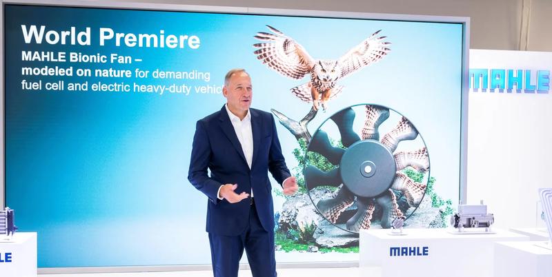 Jedna tarcza z przodu