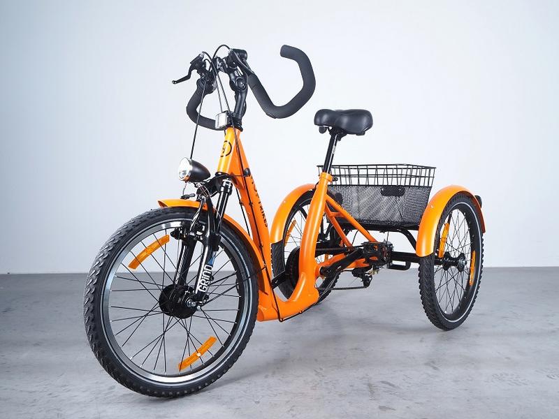 Mobilność i niezależność osób z ograniczeniami ruchowymi