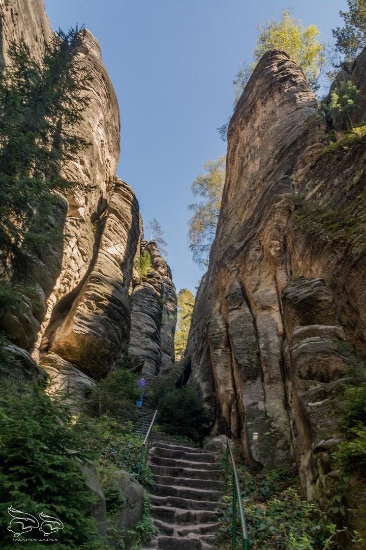 Muzeum Škody i historia przemysłu