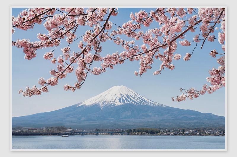 Fuji Touring
