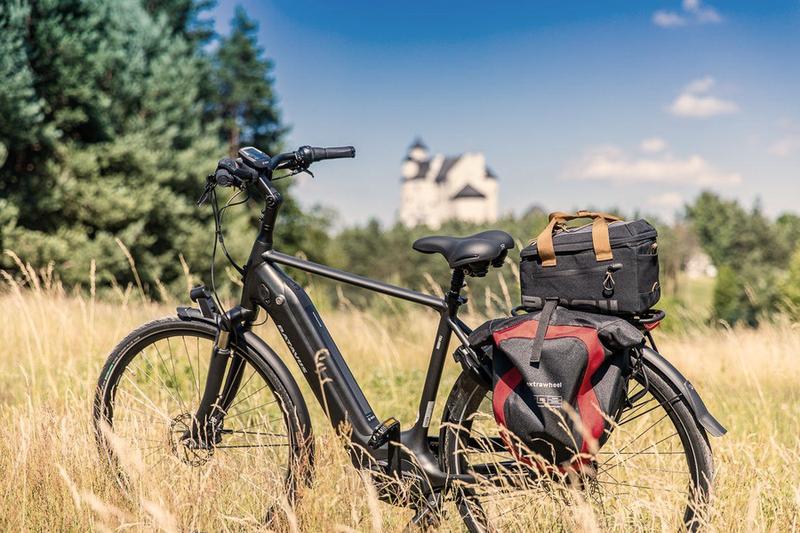 Elektryczny rower Batavus