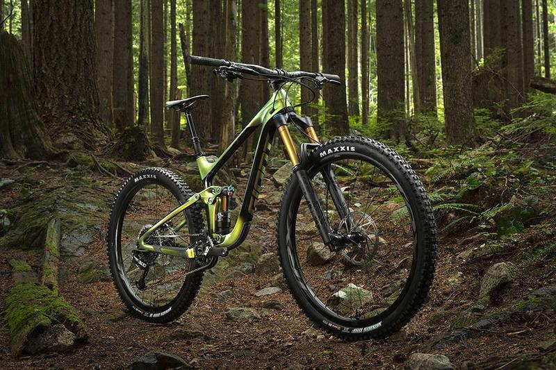 MTB dla początkujących